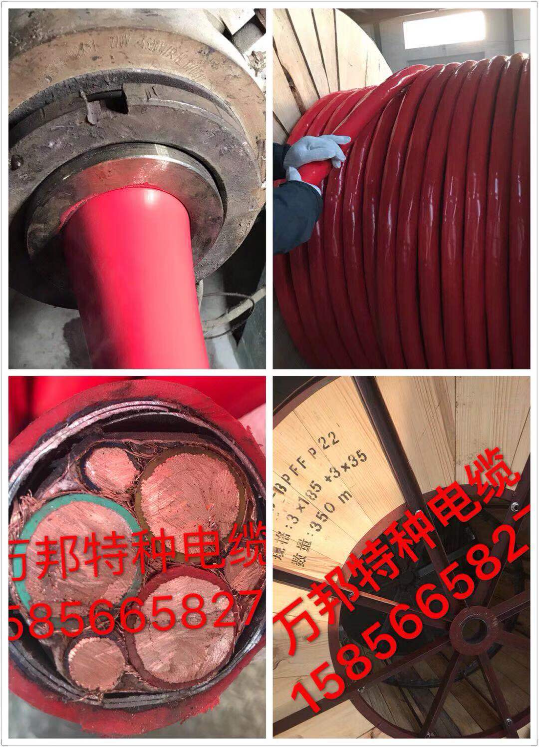 微信圖片_20201230160241.jpg